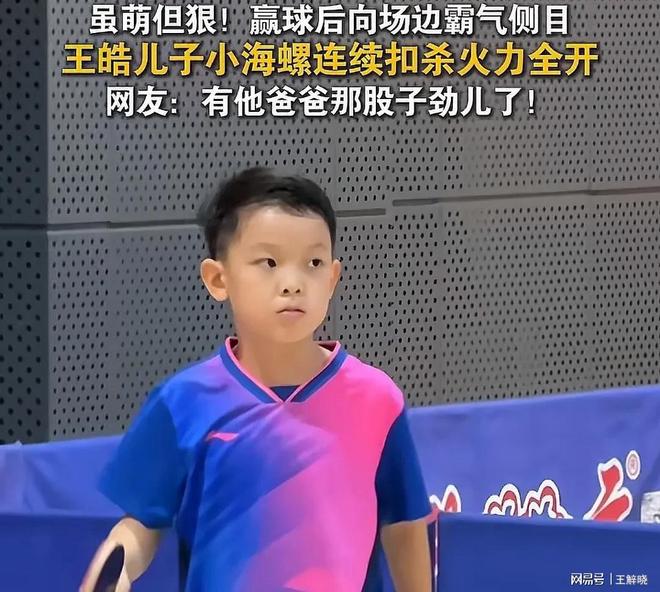 比利时乒乓球队力克日本乒乓球队，王皓制霸全场的简单介绍