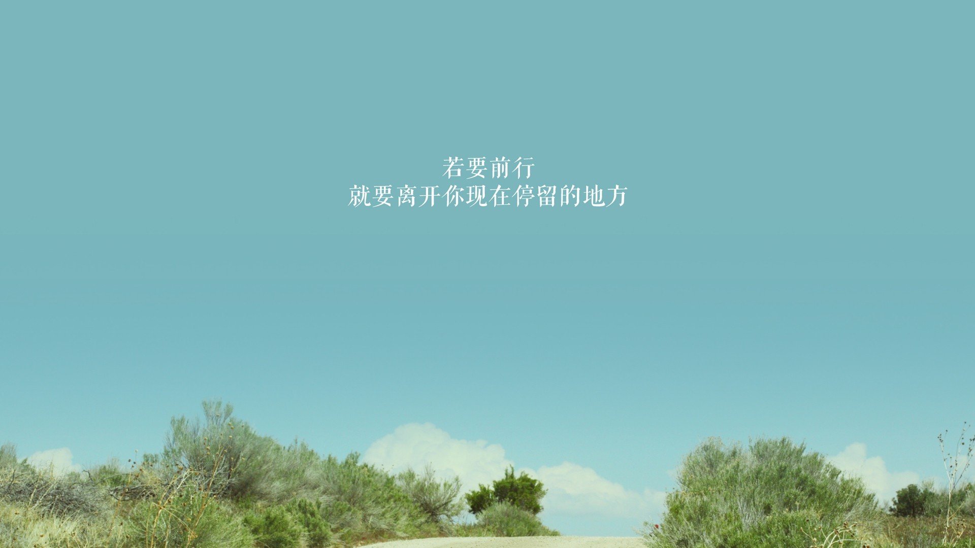 双城记,范弗利特世界杯封神之夜,映照勇士铁血晋级路